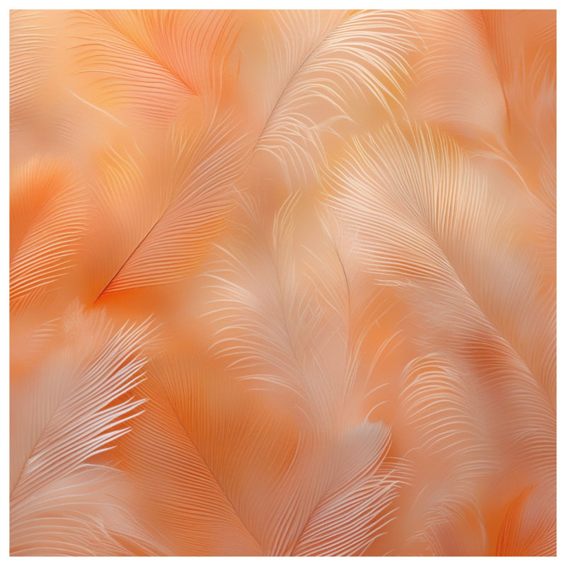 Rideaux de fenêtre à plumes douces, 50 po x 92 po - 1 panneau, Transparent