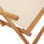 Folding Beach Chair