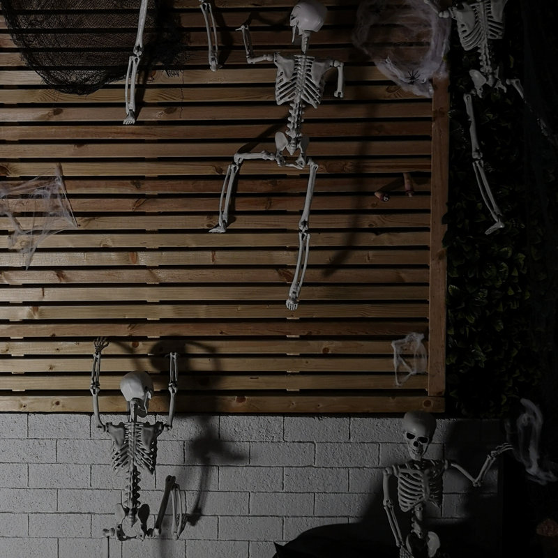 Anquantae Halloween