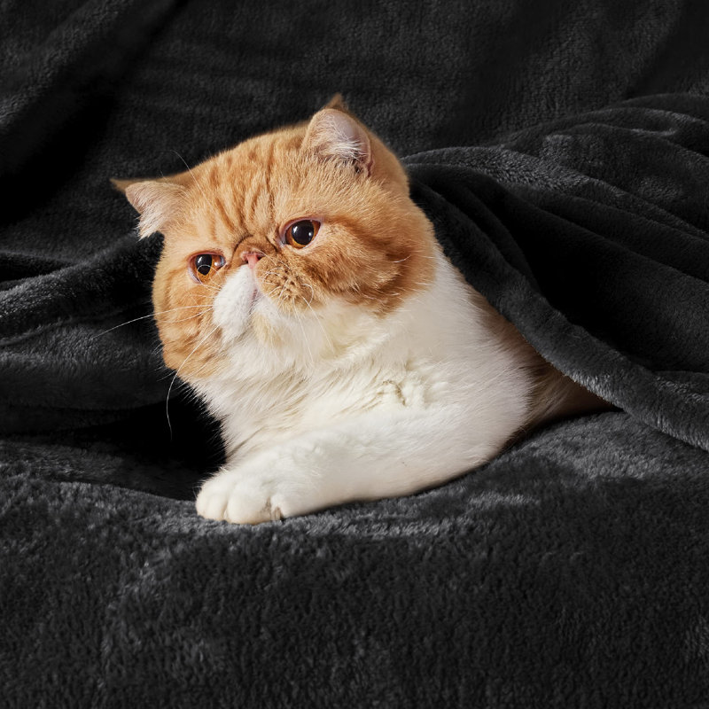 Bedsure Soft Fluffy Fleece Throw Blanket for Sofas&Beds, Black, 270cm x 230cm