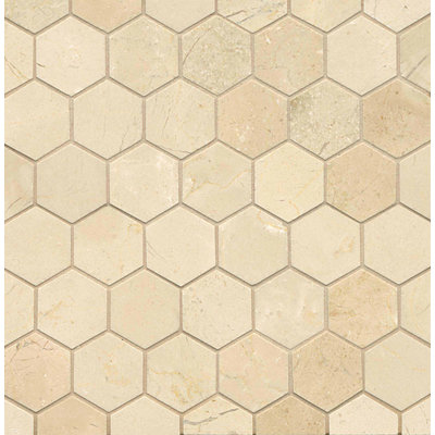 2 in. x 2 in. Honeycomb Polished Marble Tile