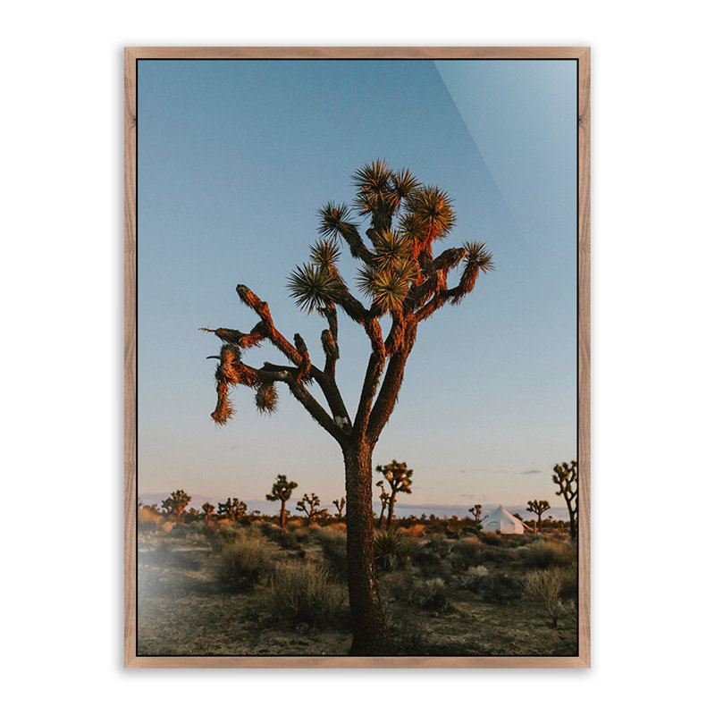 Camp Print by Wesley And Emma Teague, No, 72" H x 48" W, Rustic Walnut Floater Framed