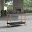Frame Bar Cart