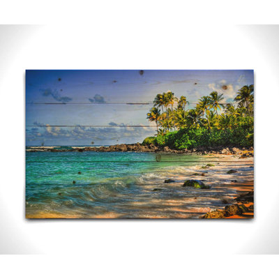 «Turtle Beach» par Kelly Wade sur