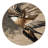 Washable African Palm Swift Birds Area Rug-1974541821