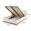 Finnbogi Ottoman Storage Bed-50964252
