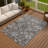 Machine Washable Indoor/Outdoor Chantille ACN2356 Traditional Rug-1045787334