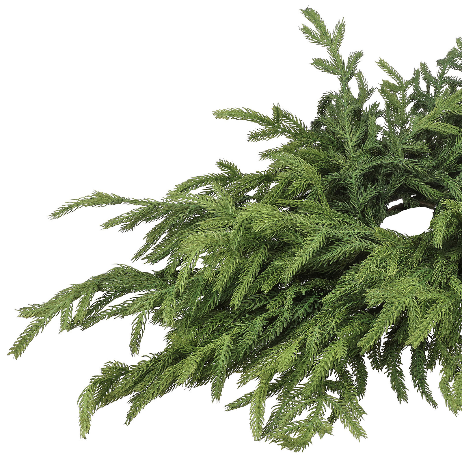 24" Just Cut Norfolk Pine Centerpiece by Valerie