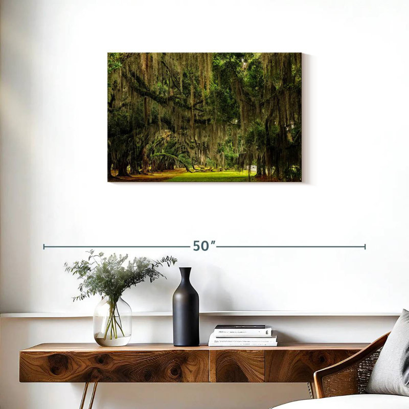 Sireci Spanish Moss, 20" H x 30" W