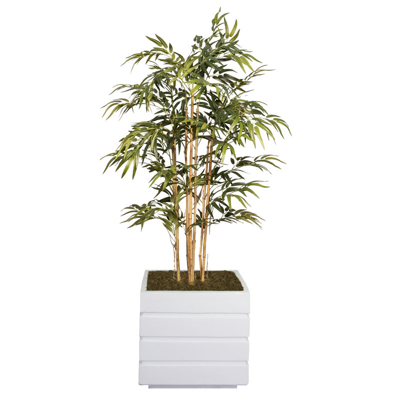 Bambou artificiel 59 po Panama, Blanc