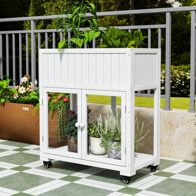 Mini serre en bois à structure froide en bois avec lit surélevé, portes en polycarbonate et roues amovibles, Blanc