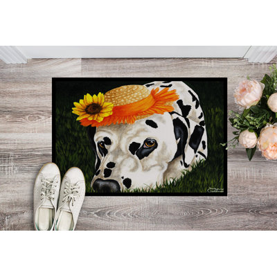 Non-Slip Outdoor Doormat