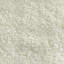 Sherpa Teddy | Kova Fabric-1253050764