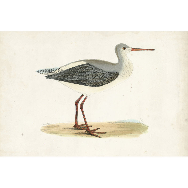 Morris Sandpipers I by Morris - Painting on Canvas, 20cm H x 30cm W, Wrapped Canvas