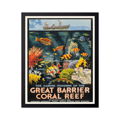 The Marine Wonders of the Great Barrier Coral Reef