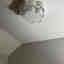 Photos des clients 4 de 4