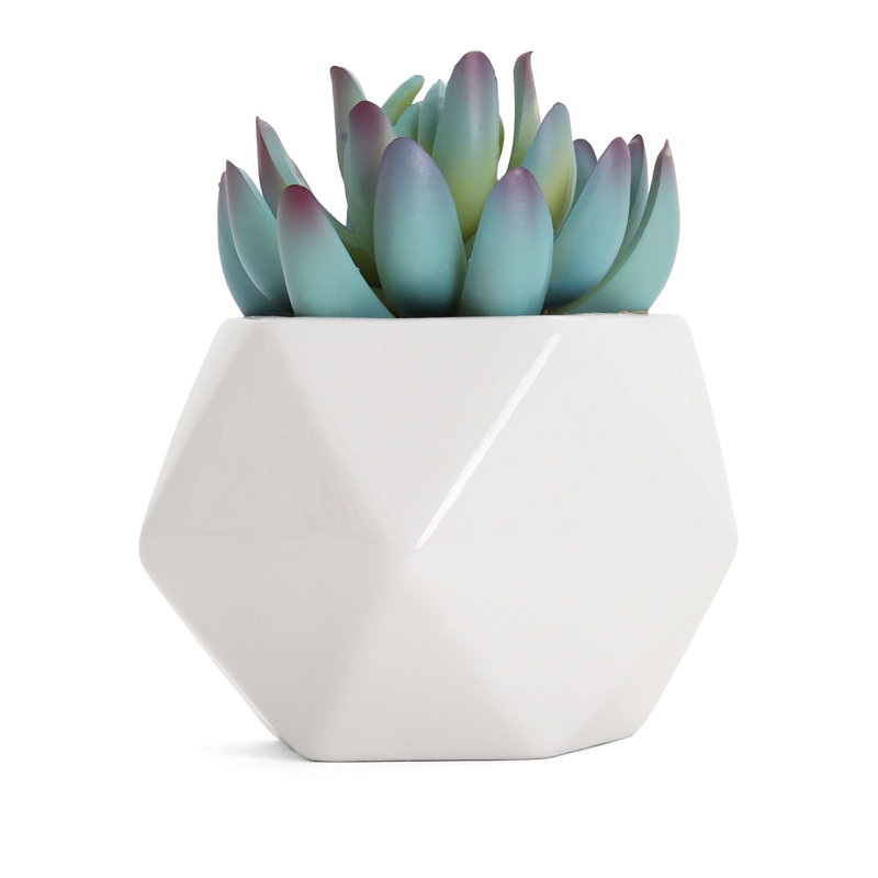 2.75" Artificial Graptoveria Succulent in Planter