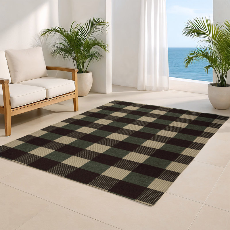 Checkered Brown Indoor and Outdoor Area Rug, Rectangle 2' x 3'