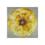 Plush I Print by Sydney Edmunds-26946967-26946972
