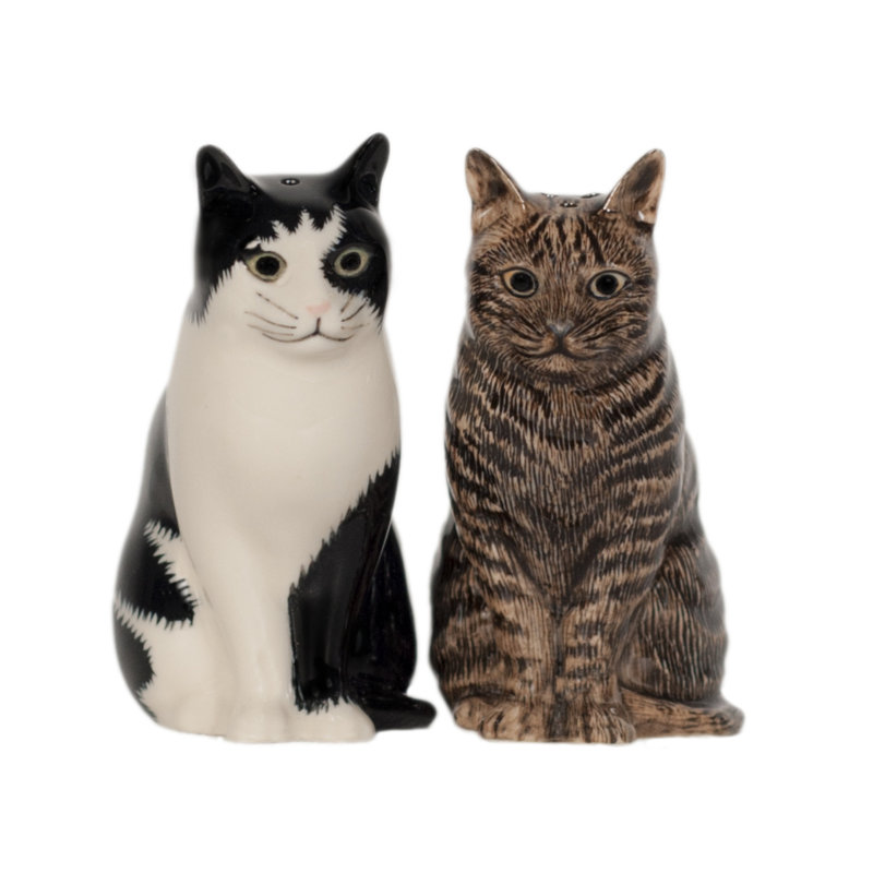 Salt And Pepper - Cat - Barney And Clementine