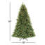 Sapin de Noël givré pré-éclairé-50784599