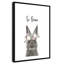 Le lapin est courage-48187568-48187588