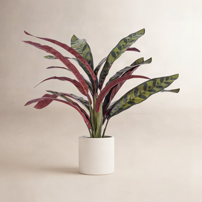 18.9'' Faux Calathea Plant in Ceramic Pot