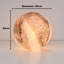 Grisham Glass Globe Lamp-209277381