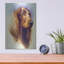 «Irish Setter» par Barbara Keith-68649397