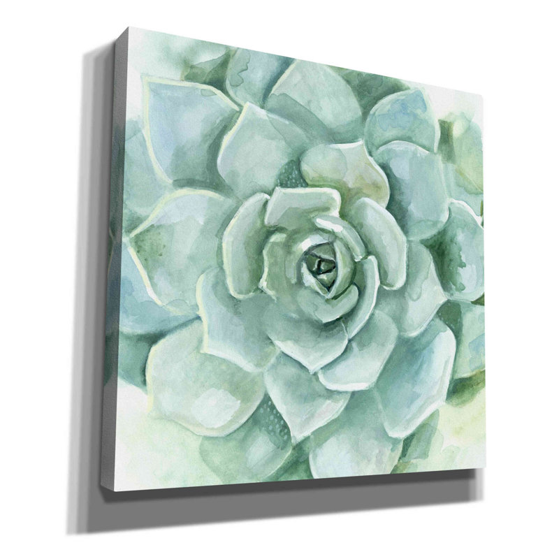 «Verdant Succulent I» par Victoria Borges, art mural sur toile, H 12 po x l 12 po x P 0,75 po