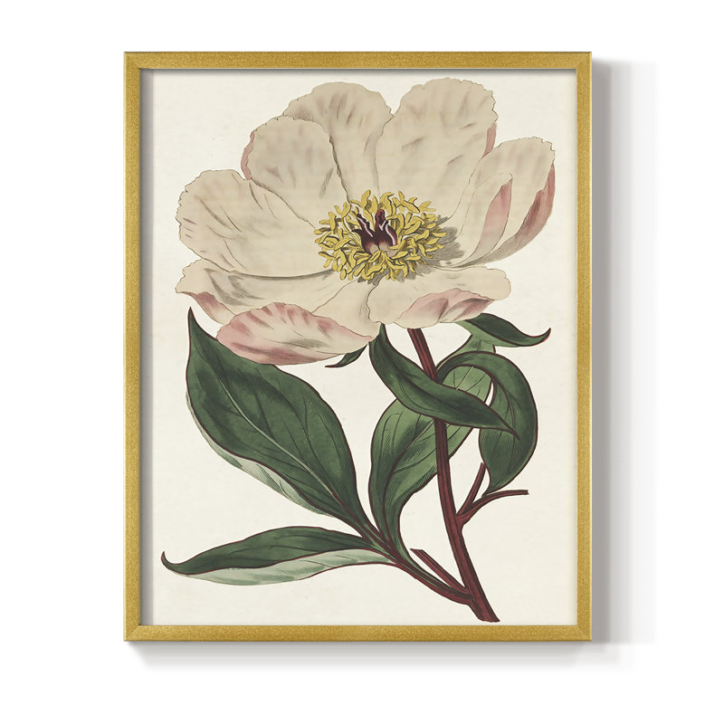 «Pink Floral Mix VII», reproduction encadrée - bois massif, H 21 po x l 17 po, Doré