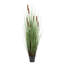 Herbe droite artificielle et quenouilles-22996684
