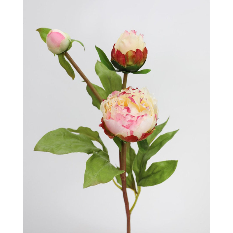 Soft Yellow Peony 19", Pink/White