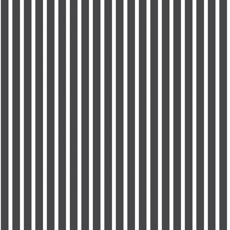 Ayden 10m x 53cm Matte Wallpaper Roll, Black/White