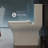 Carre One-Piece Square Toilet Dual-Flush 1.1/1.6 gpf-63681520