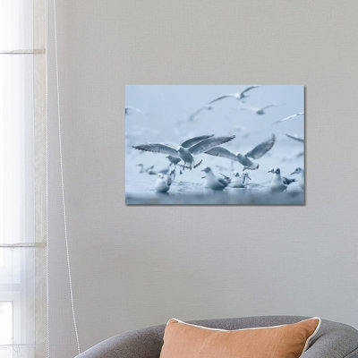 Gulls In The Fog by Mateusz Piesiak - Wrapped Canvas Print