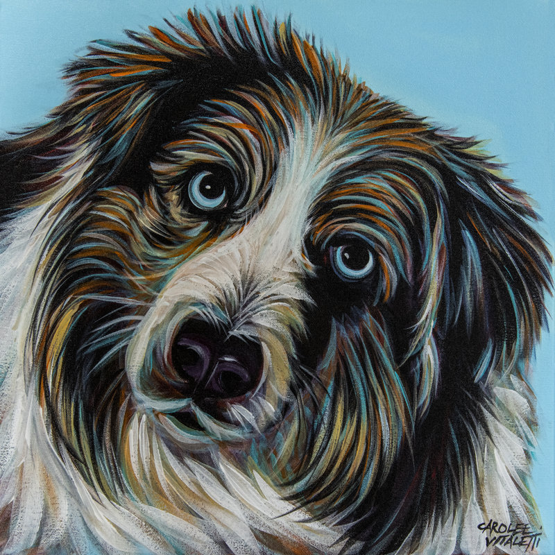 «Blue Eyed Dog On Canvas» par Carolee Vitaletti, reproduction, H 36 po x l 36 po