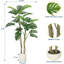 60cm Plant