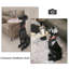 Table d'appoint géométrique en résine pour chien: style nordique