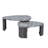 Nesting Granite Grey 2 Pieces Coffee Table