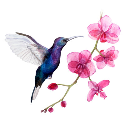 Hummingbird 1 Piece Wrapped Canvas Painting