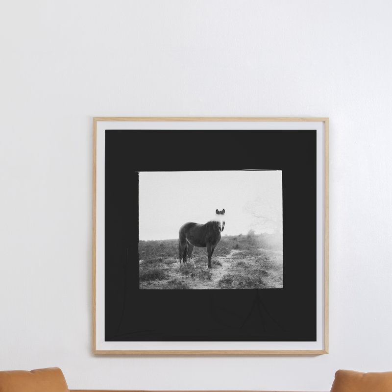 Blank Horse Print by Annie Spratt, 40" H x 40" W x 2.5" D