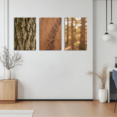 Tree Bark Wood Grain Forest Canvas Wrapped Wall Art Oil Painting Print Set Of 3