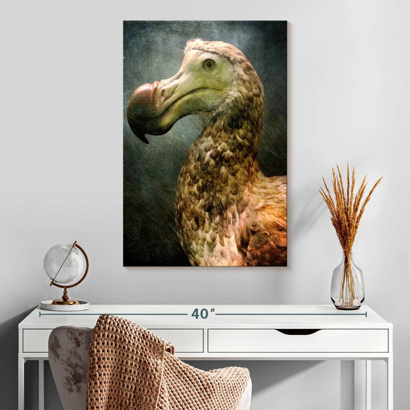 Magnifique dodo Brampt, H 30 po x l 20 po