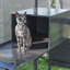 Grand parc d'extérieur en bois-764507218-764507219