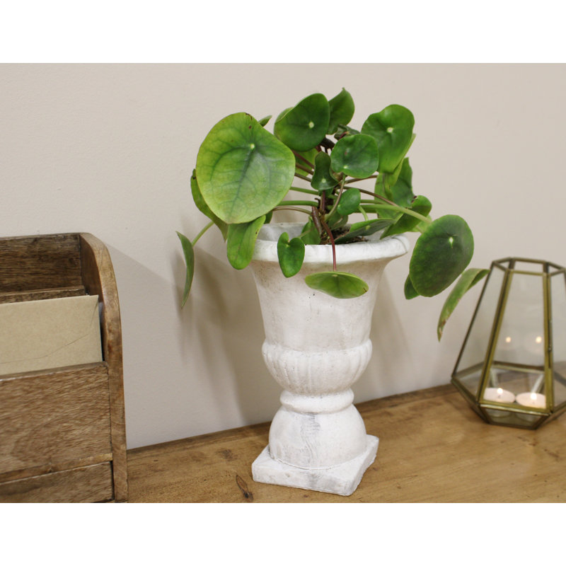 Lily Urn Planter