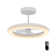 Aashini 13'' Ceiling Fan with LED Lights