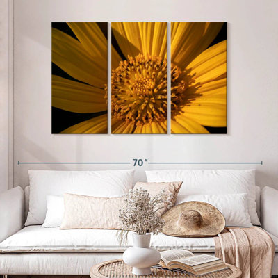 Harnek Wild Yellow Sunflower