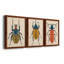 Beetle Bug I - ensemble de 3 peintures sur toile encadrées-1777886072-1777886077