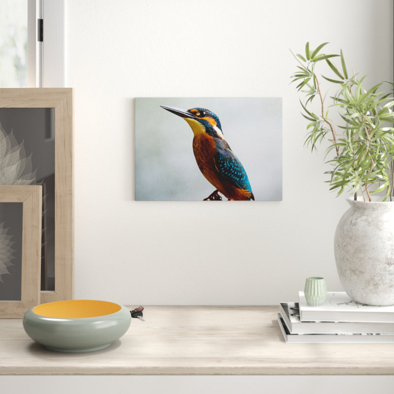 Kingfisher Bird Photographic - Wrapped Canvas, 35cm H x 50cm W